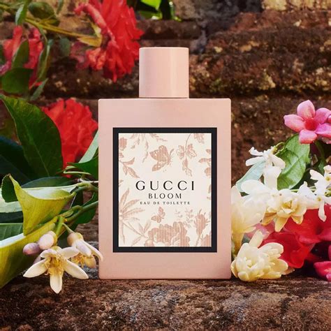 gucci bloom fragrancex|gucci bloom fragrantica.